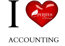 I love accounting