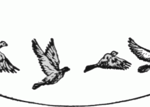 800px-Alle-Vgel-sind-schon-da