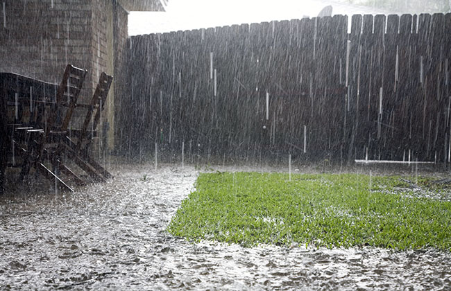 Heavy rain in backyard