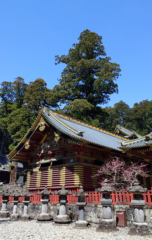 6a Błękitne niebo nad sanktuarium szogunów Tokugawa Nikko Japonia