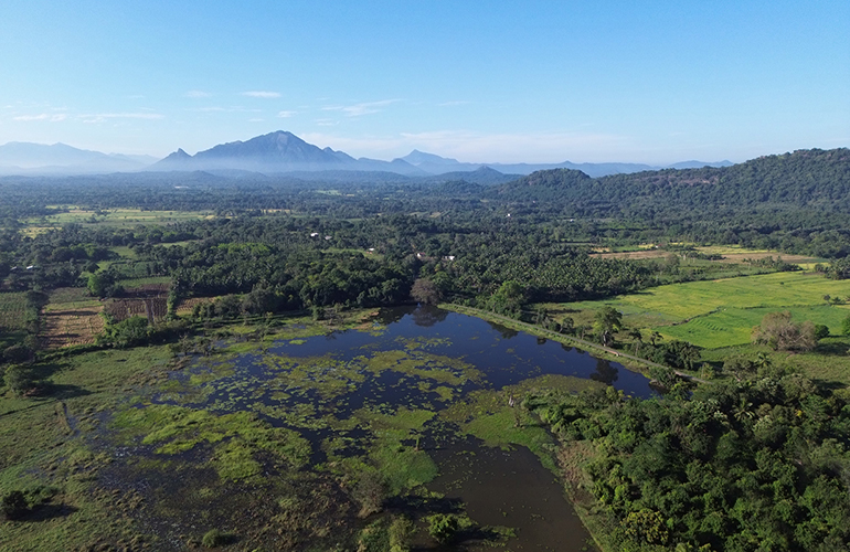 CEJLON, SRI LANKA 2025, cz. 2: Odkrywamy Cejlon