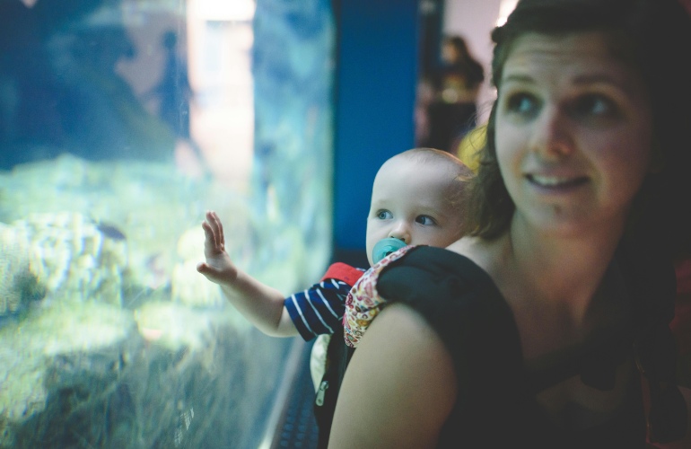 aquarium baby 770