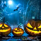 Halloween: finansowe strachy wracających do Polski