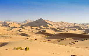 Arabia Saudyjska importuje piasek